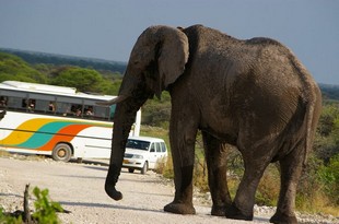 721 Namibia Okt 2006 .JPG